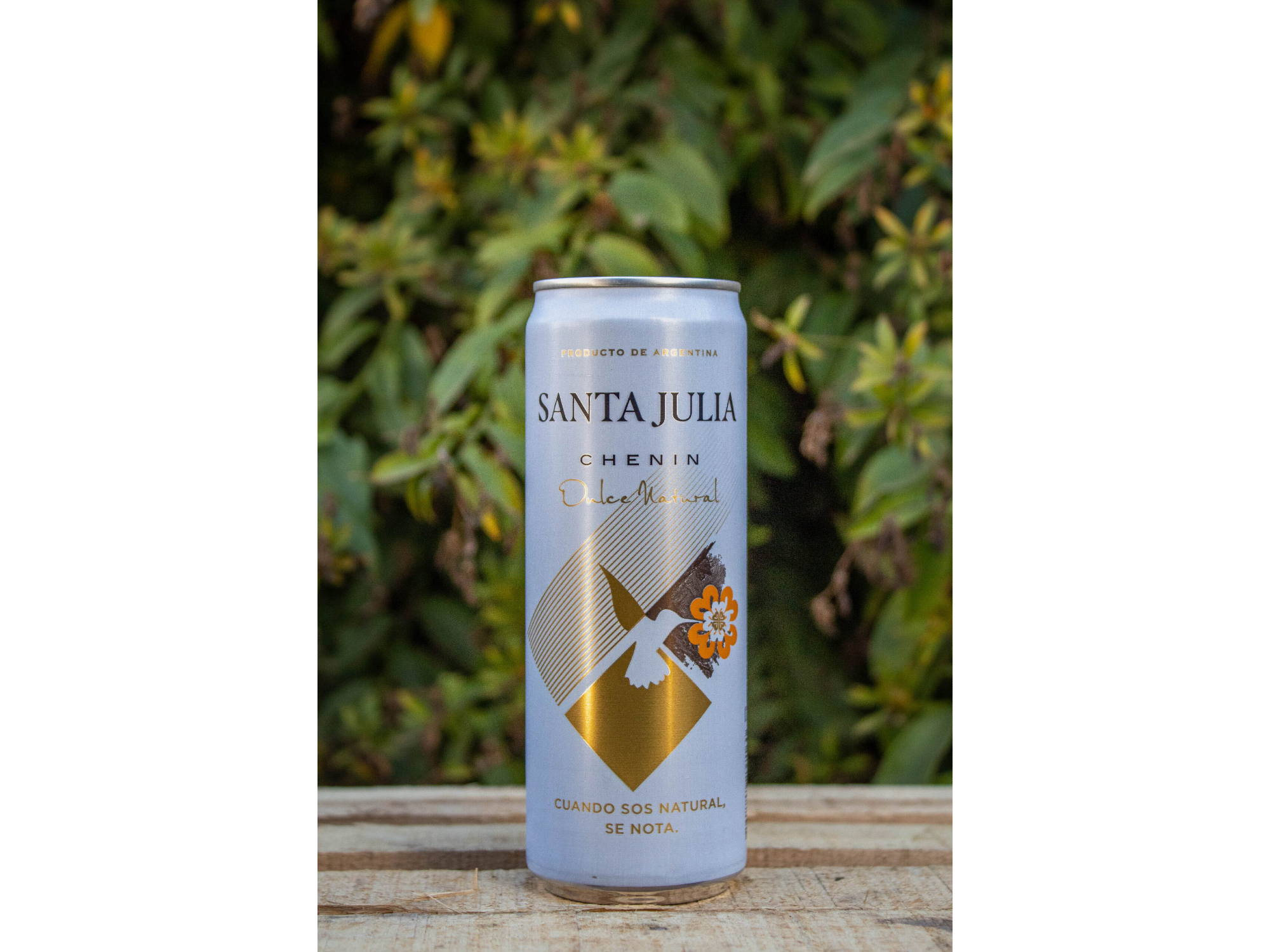 Santa Julia lata  269ml