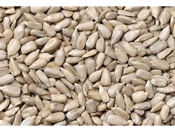 Semilla de girasol pelada sin sal