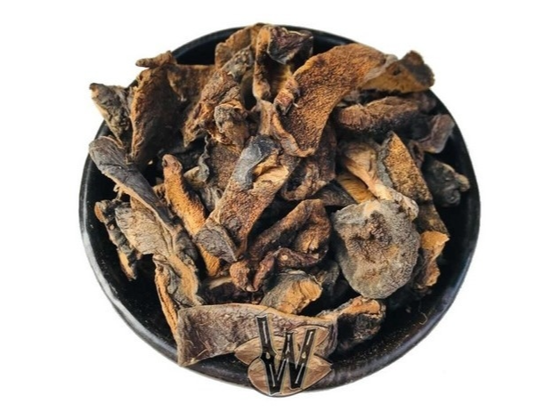 Hongos de pino seco