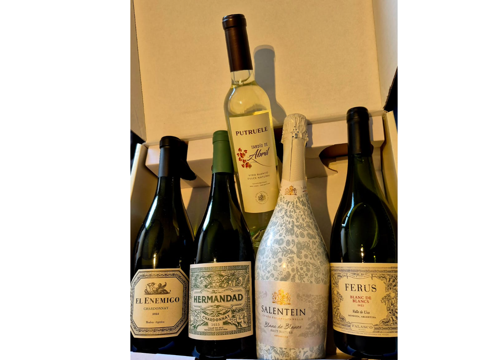 Promo Amantes del Blanco