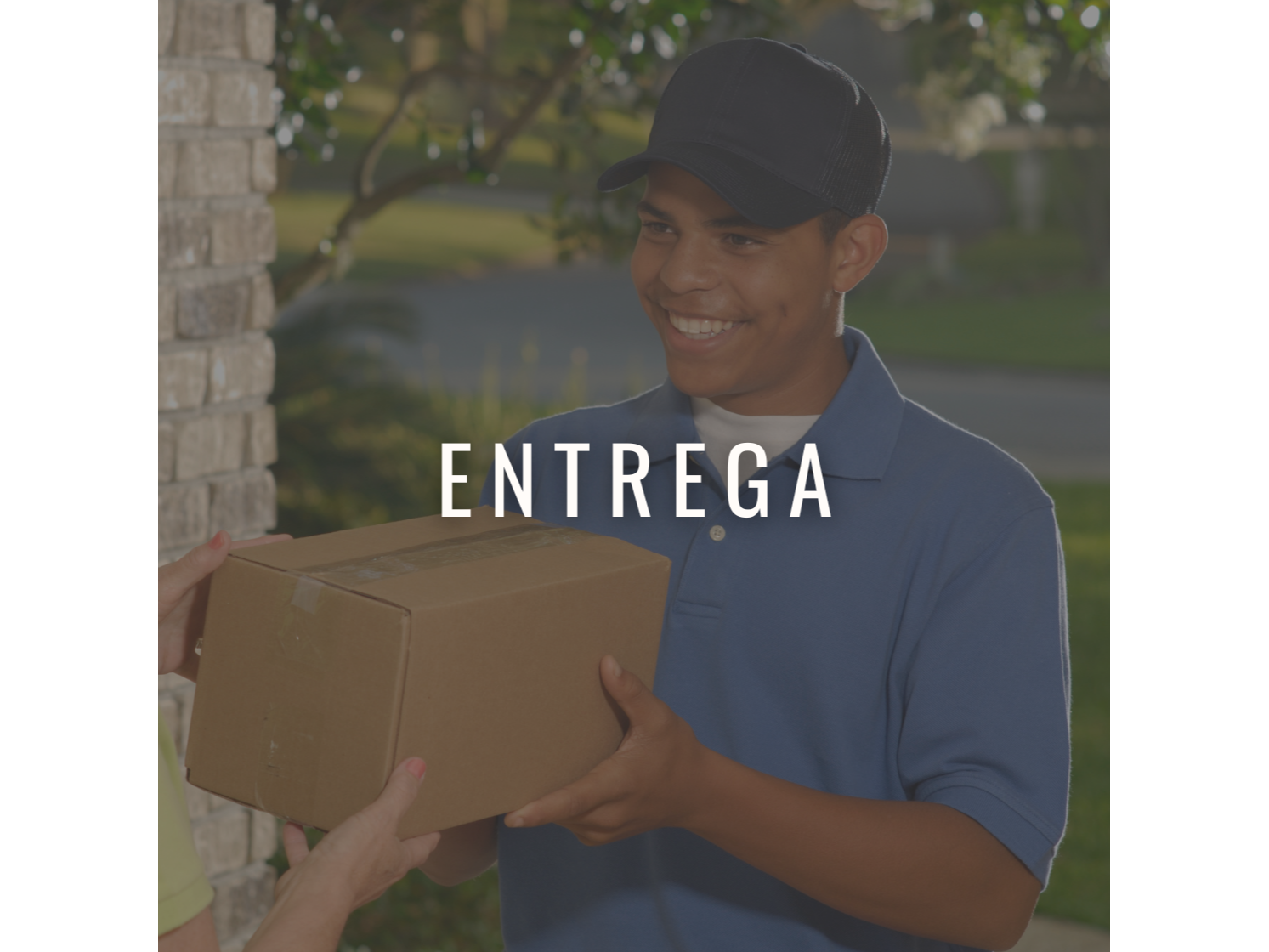 ENTREGA