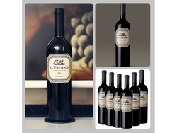 El Enemigo Cabernet Franc 2022 - Alejandro Vigil