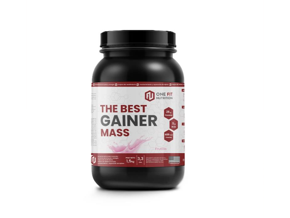 ONE FIT – THE BEST GAINER 1.5KG