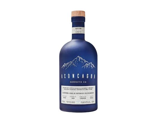 GIN ACONCAGUA x 700 ML