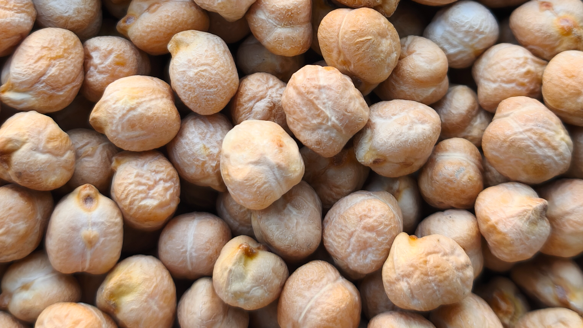 LEGUMBRES Y TEXTURIZADOS