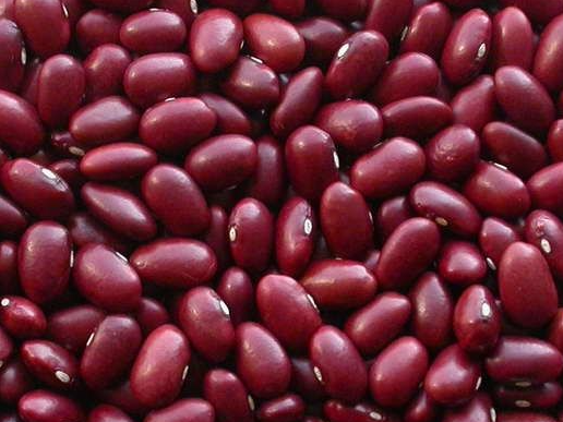 Porotos colorados