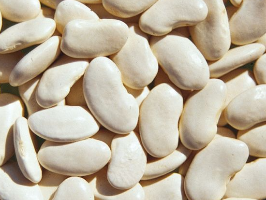 Porotos pallares