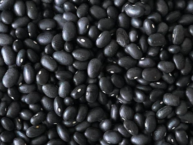 Porotos negros