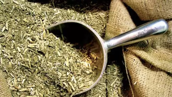 YERBA SOY Y LUNA