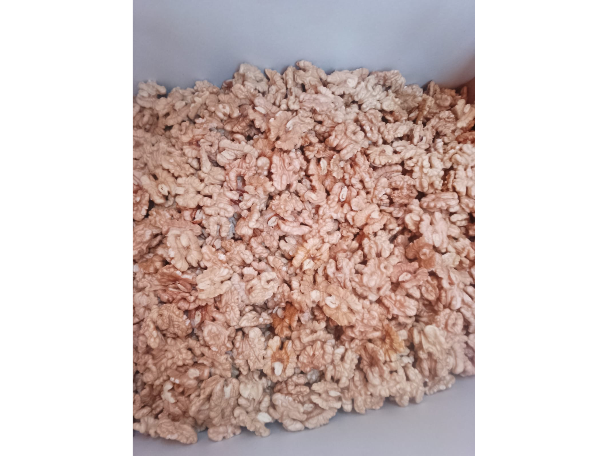 Nueces mariposa blanca light 2025