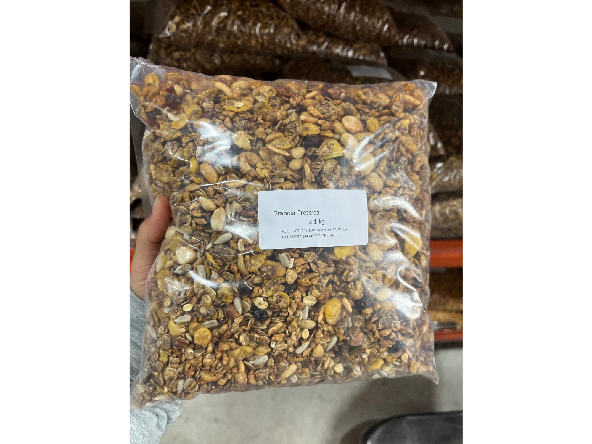 Granola Proteica | x1kg