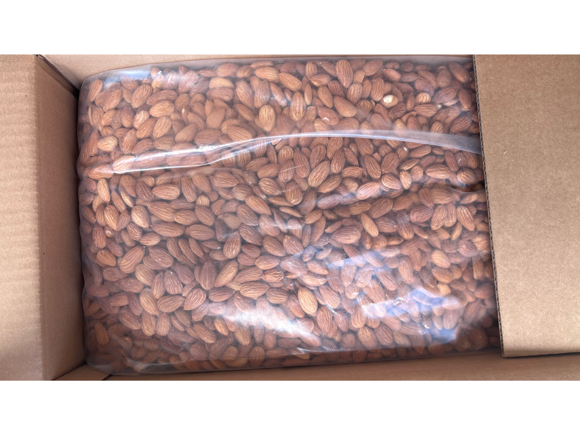 Alemendra non pareil mediana