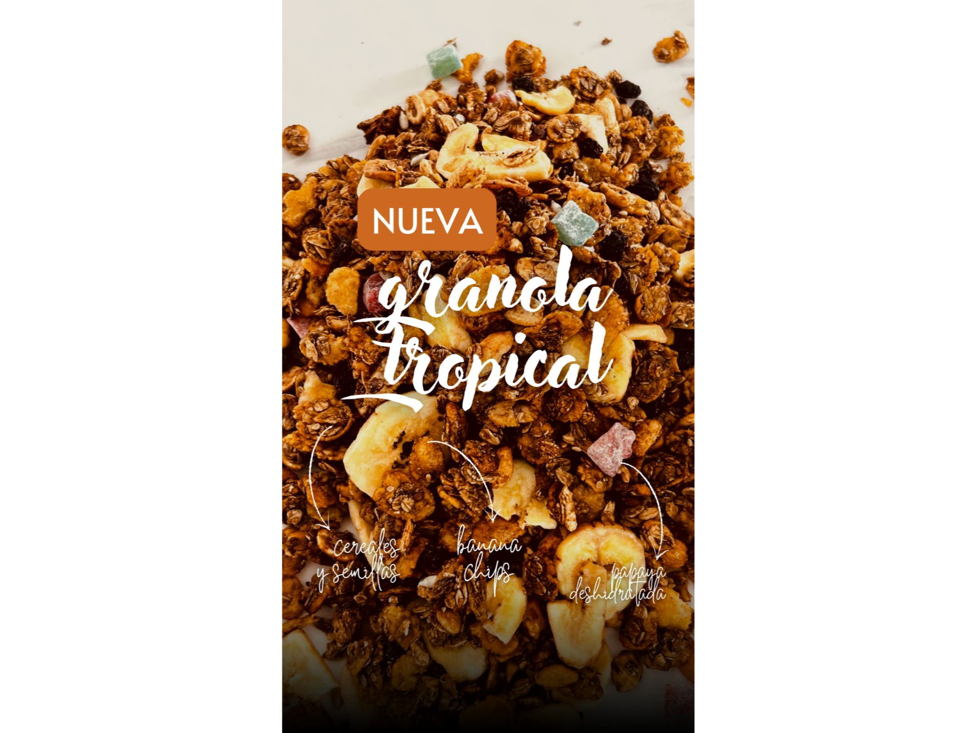 Granola TROPICAL | x1kg