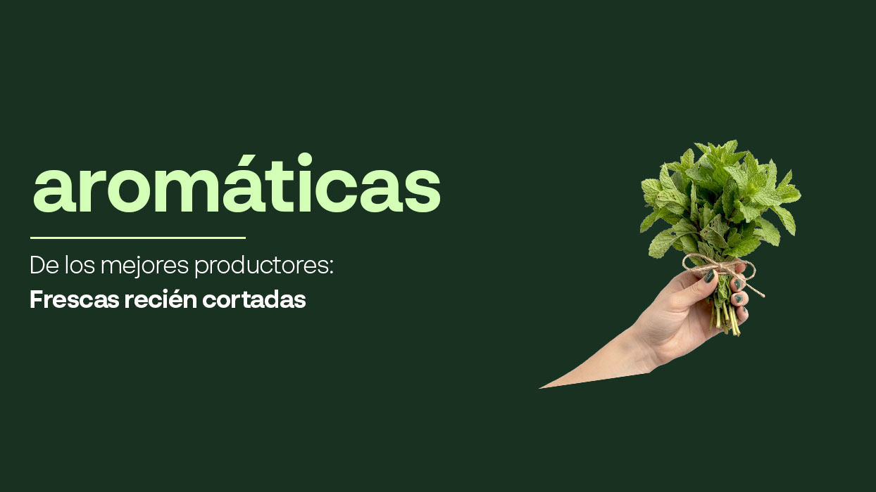 Hojas y Aromáticas