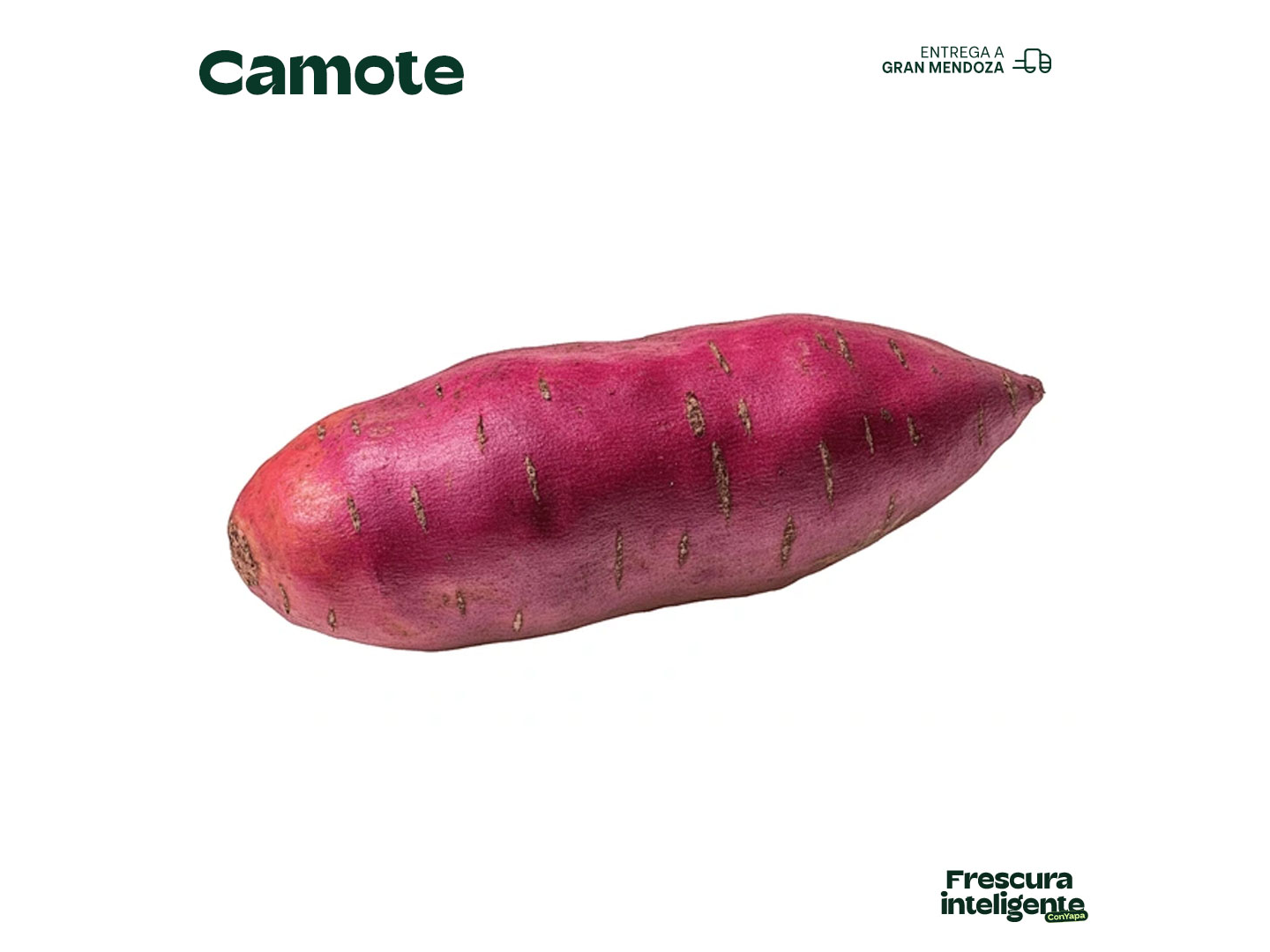 Camote