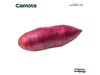Camote