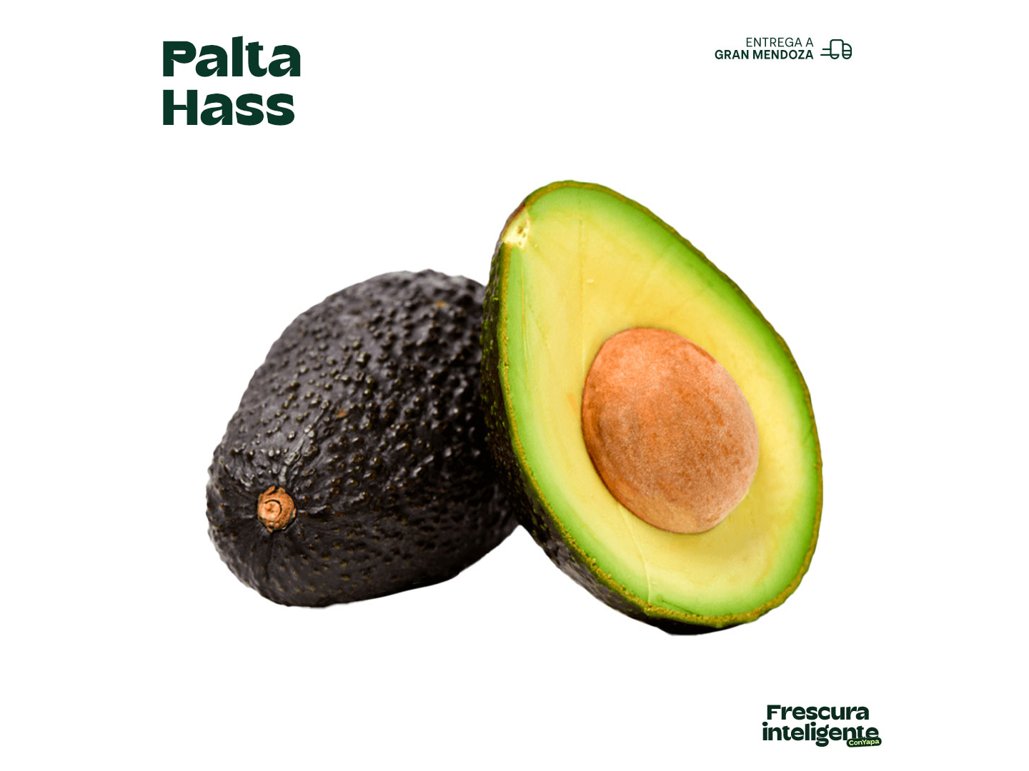 Palta hass Chile