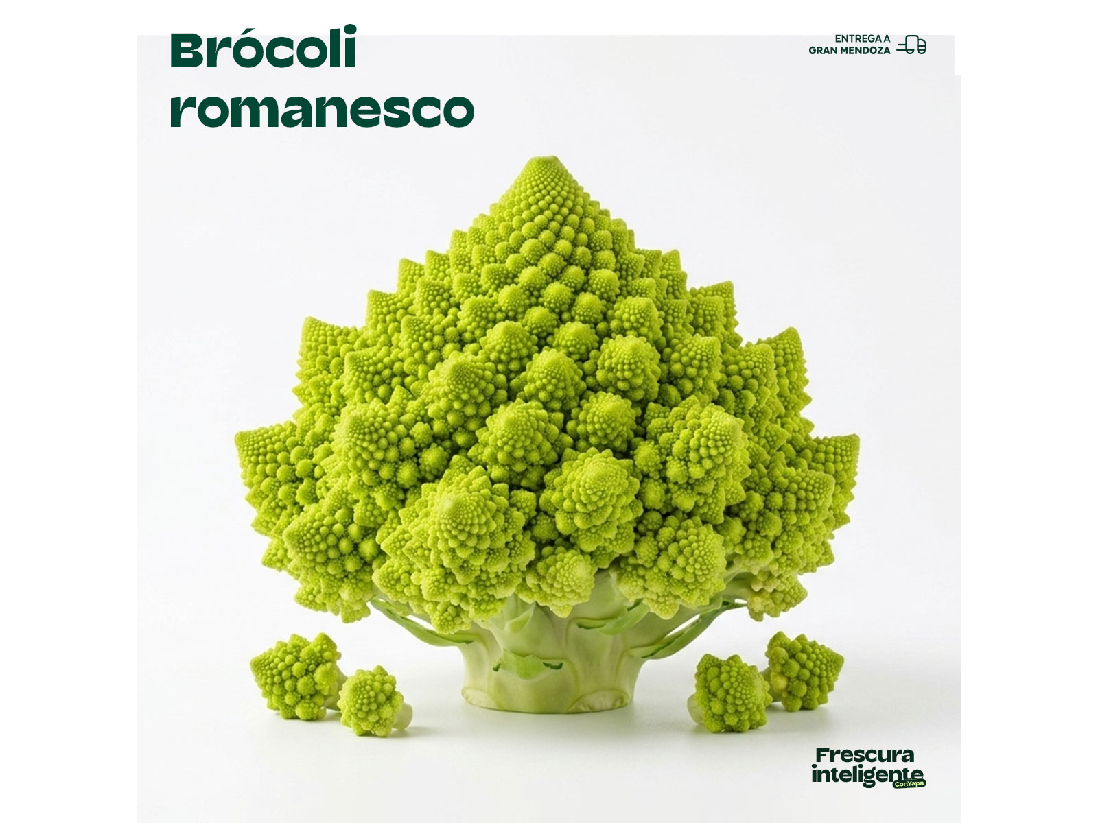 Brócoli romanesco