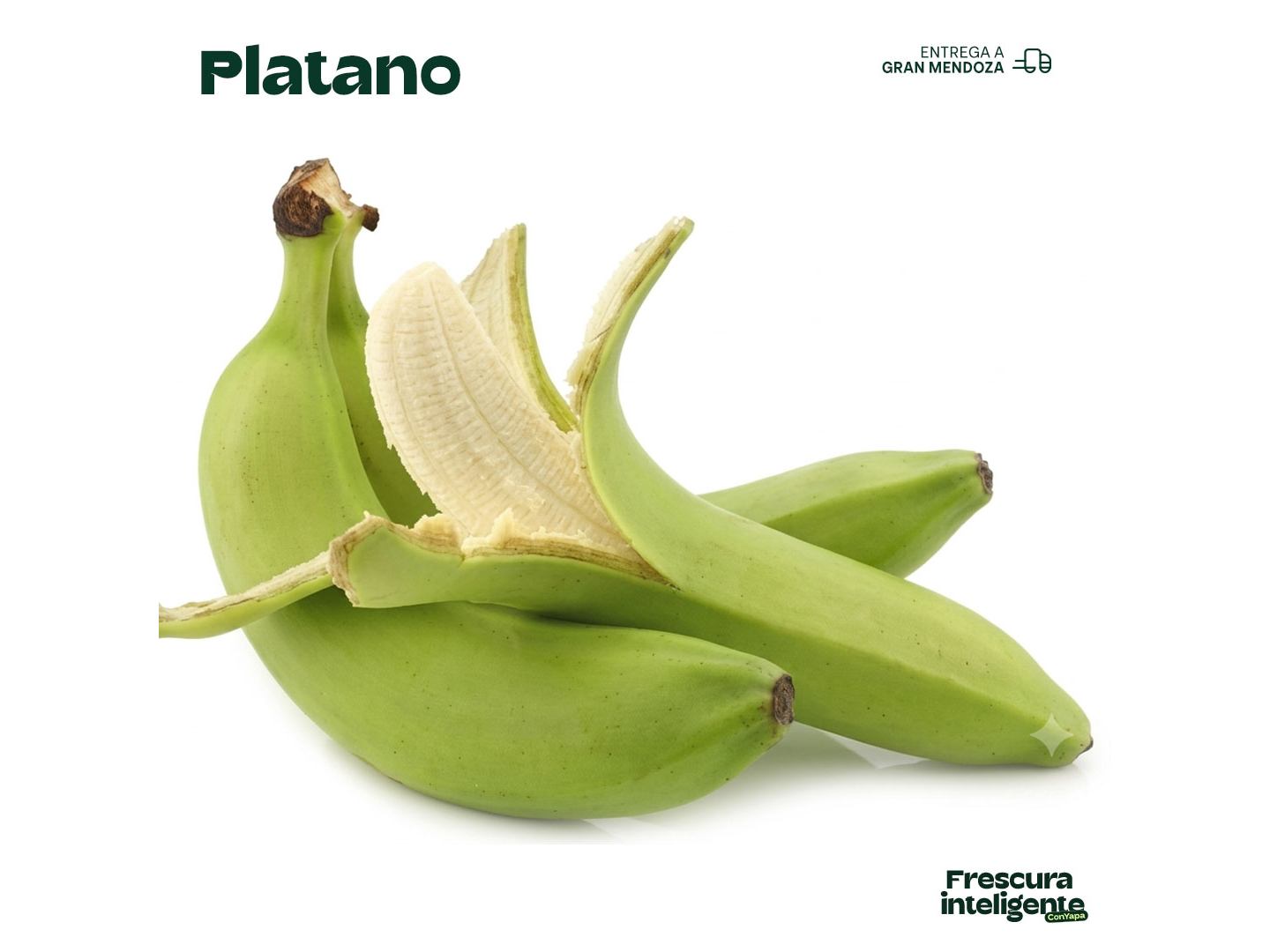 Platano
