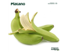 Platano