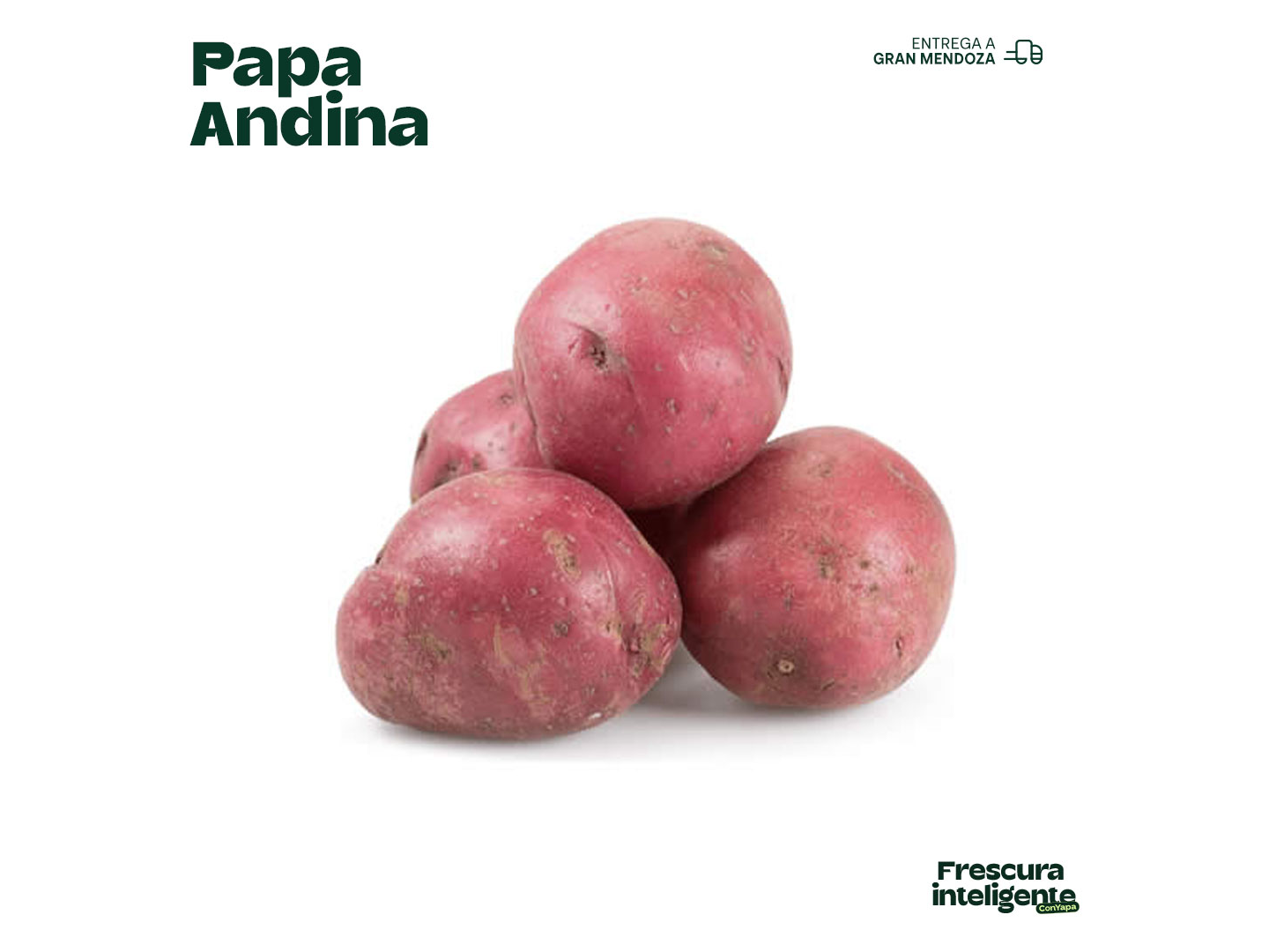 Papa Andina (1 kg)