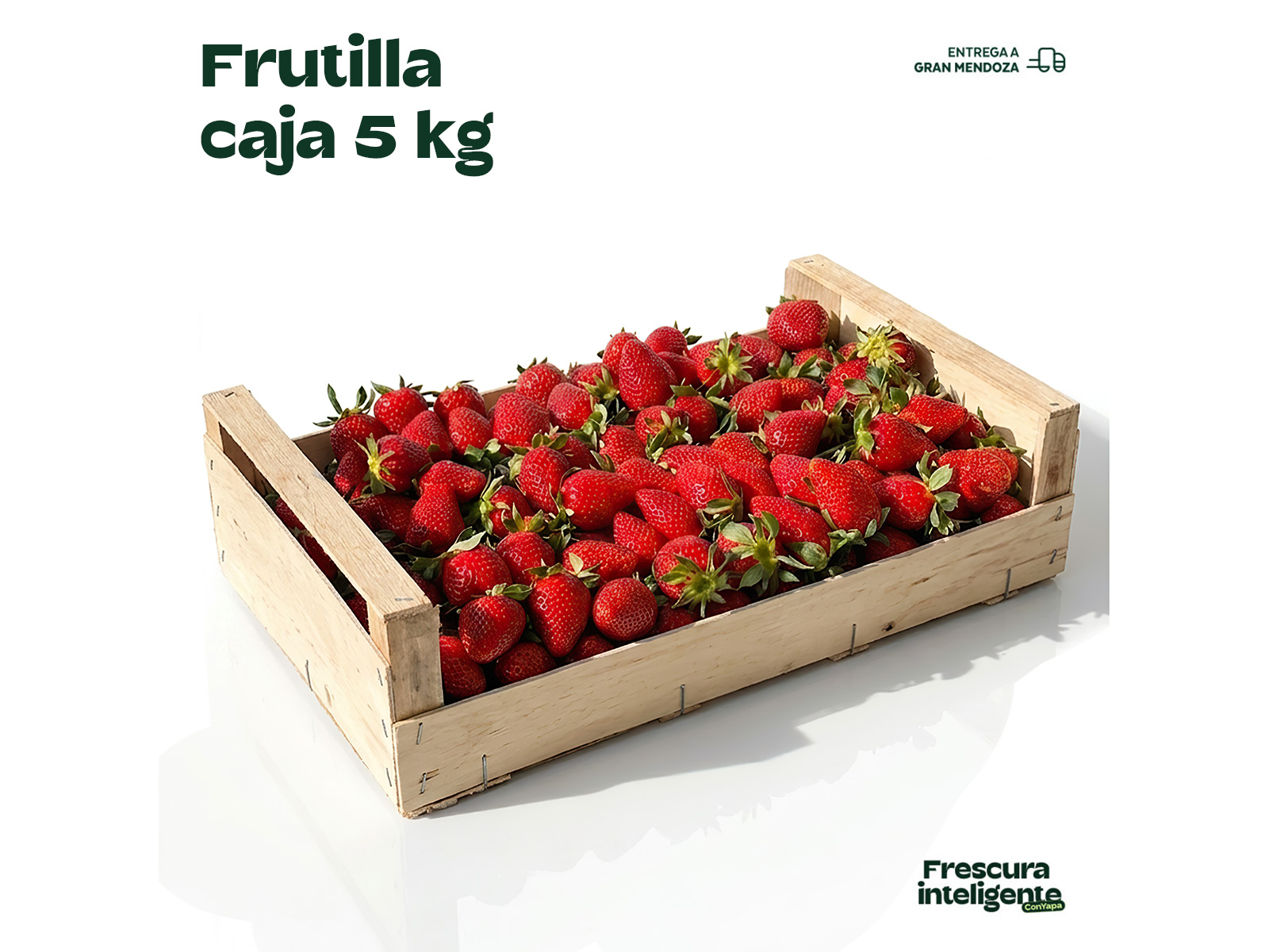 Frutilla caja (5 kg)