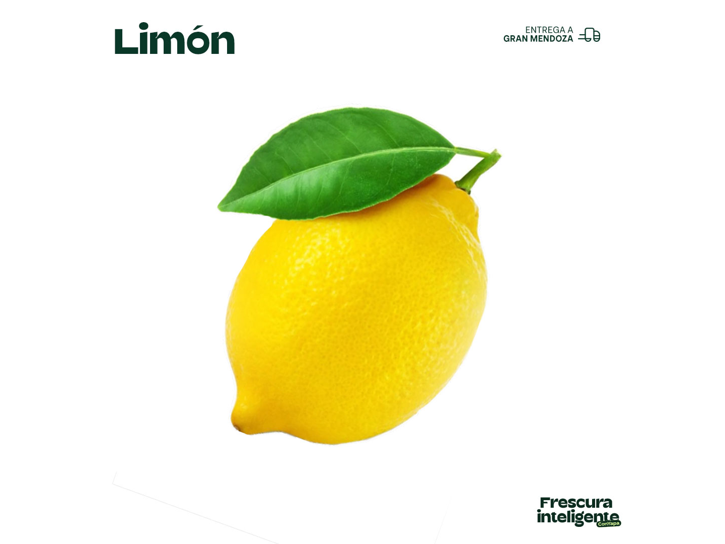 Limón de 1ra Selec