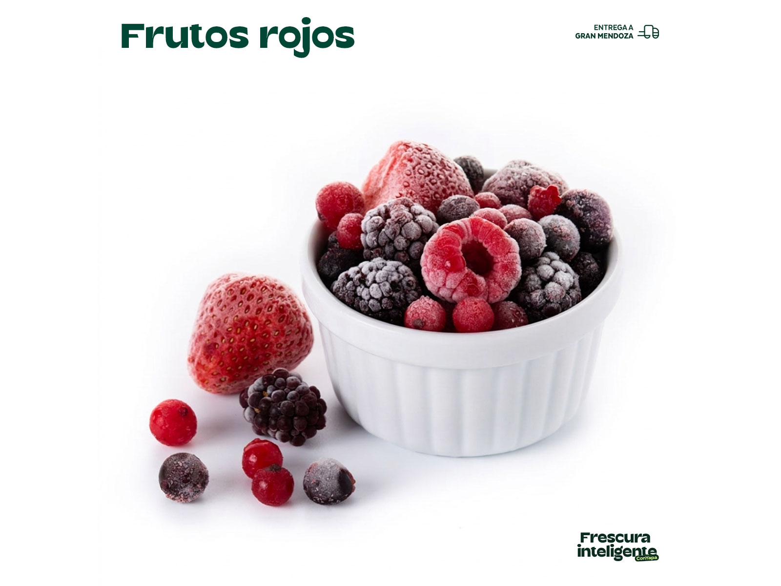 Frutos rojos congelados (1 kg)