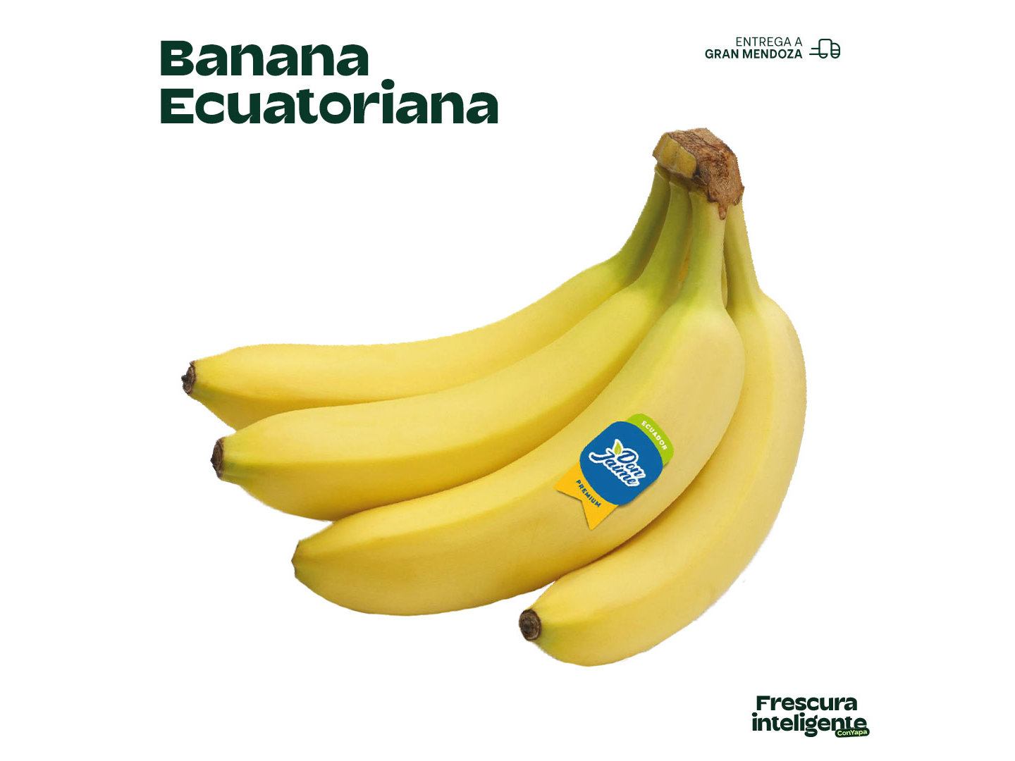 Bananas Ecua