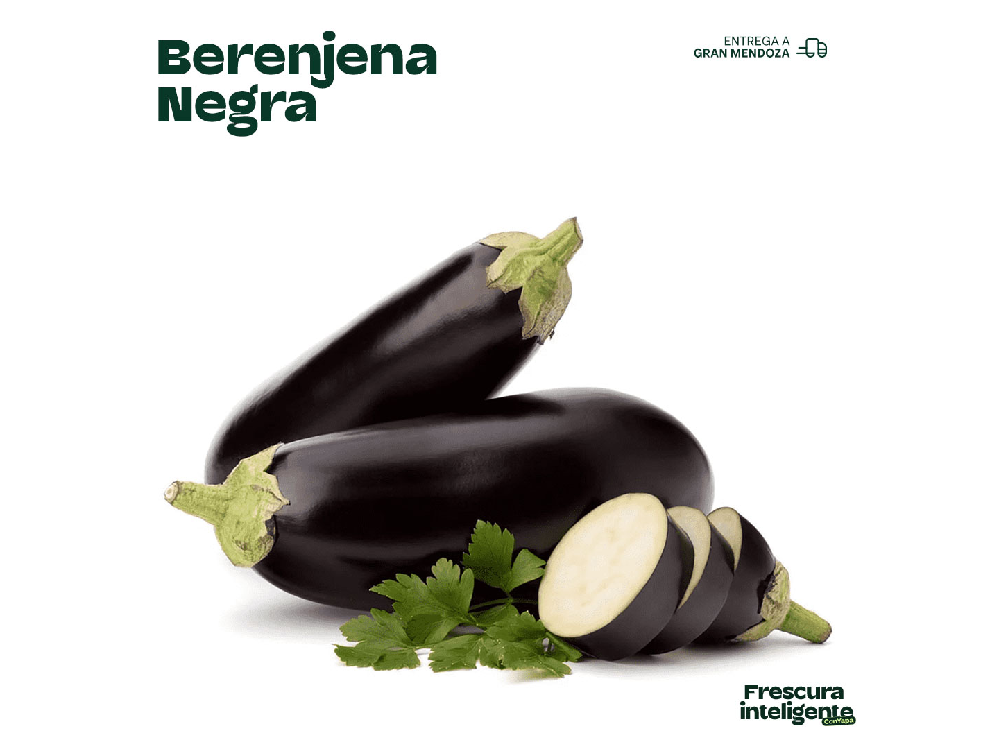 Berenjena neg.