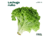 Lechuga rulito