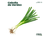 Cebolla verdeo