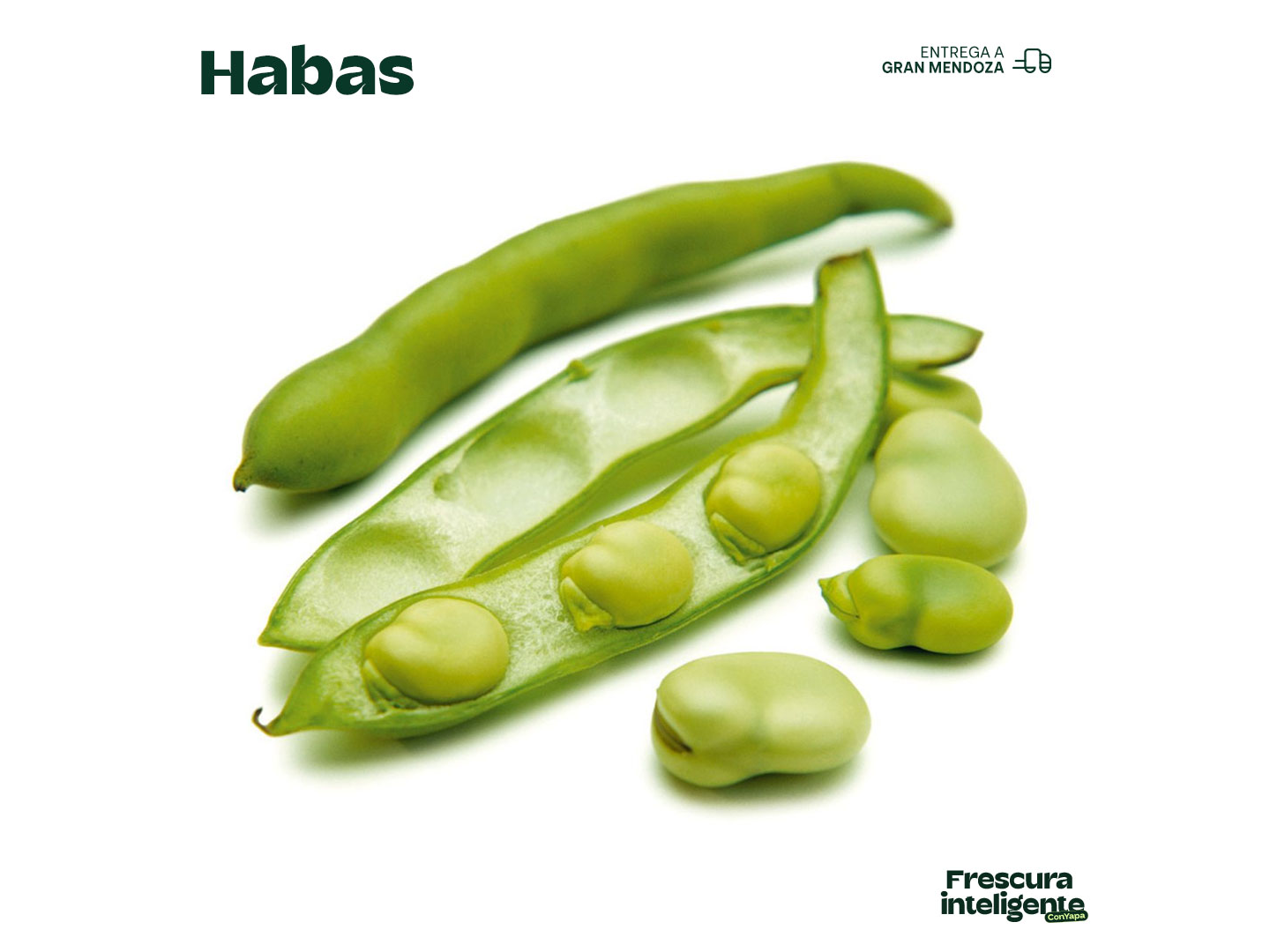 Habas