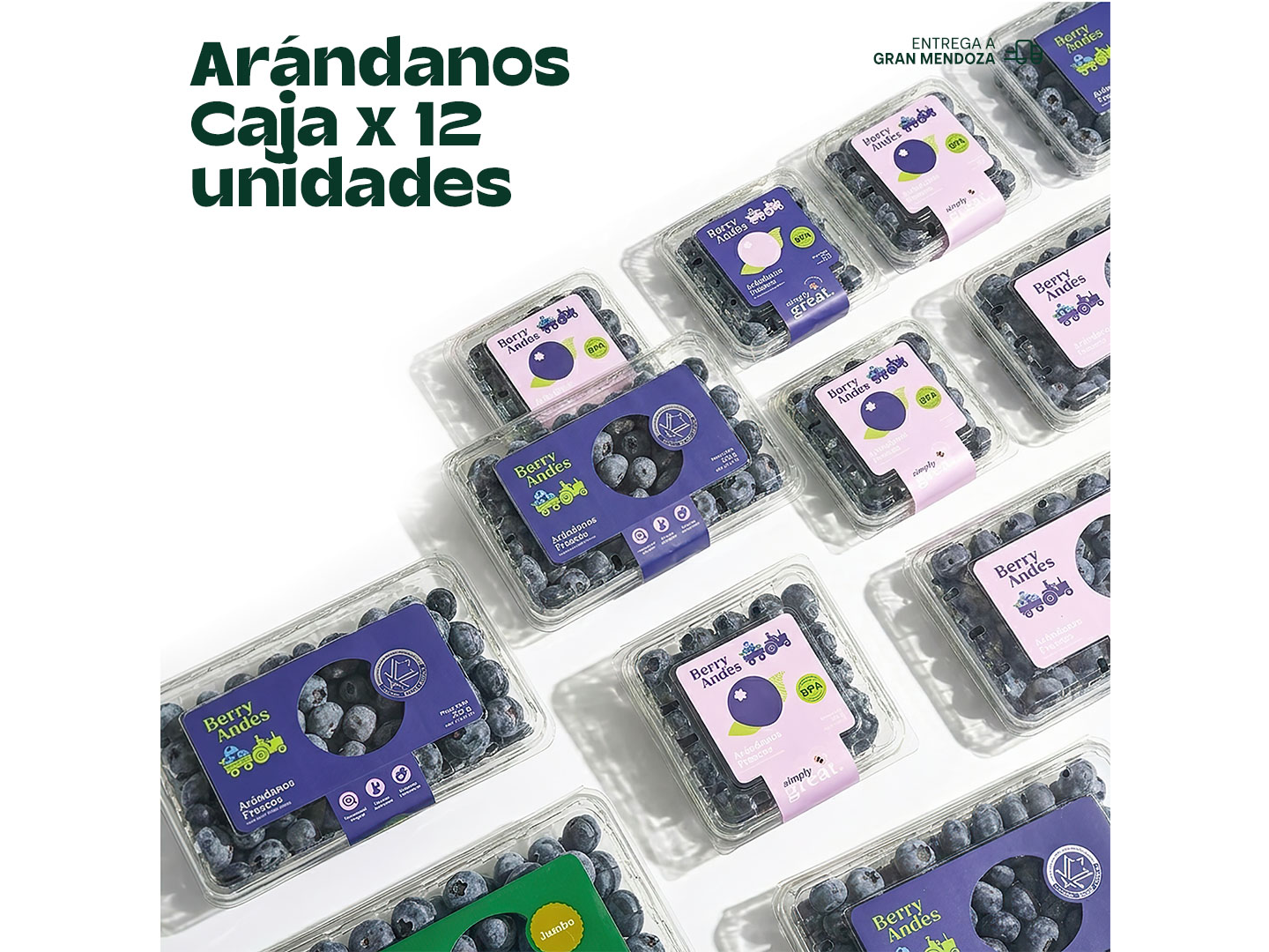 Arándanos — Caja x 12 unidades