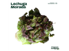Lechuga morada