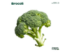 Brócoli
