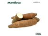 Mandioca