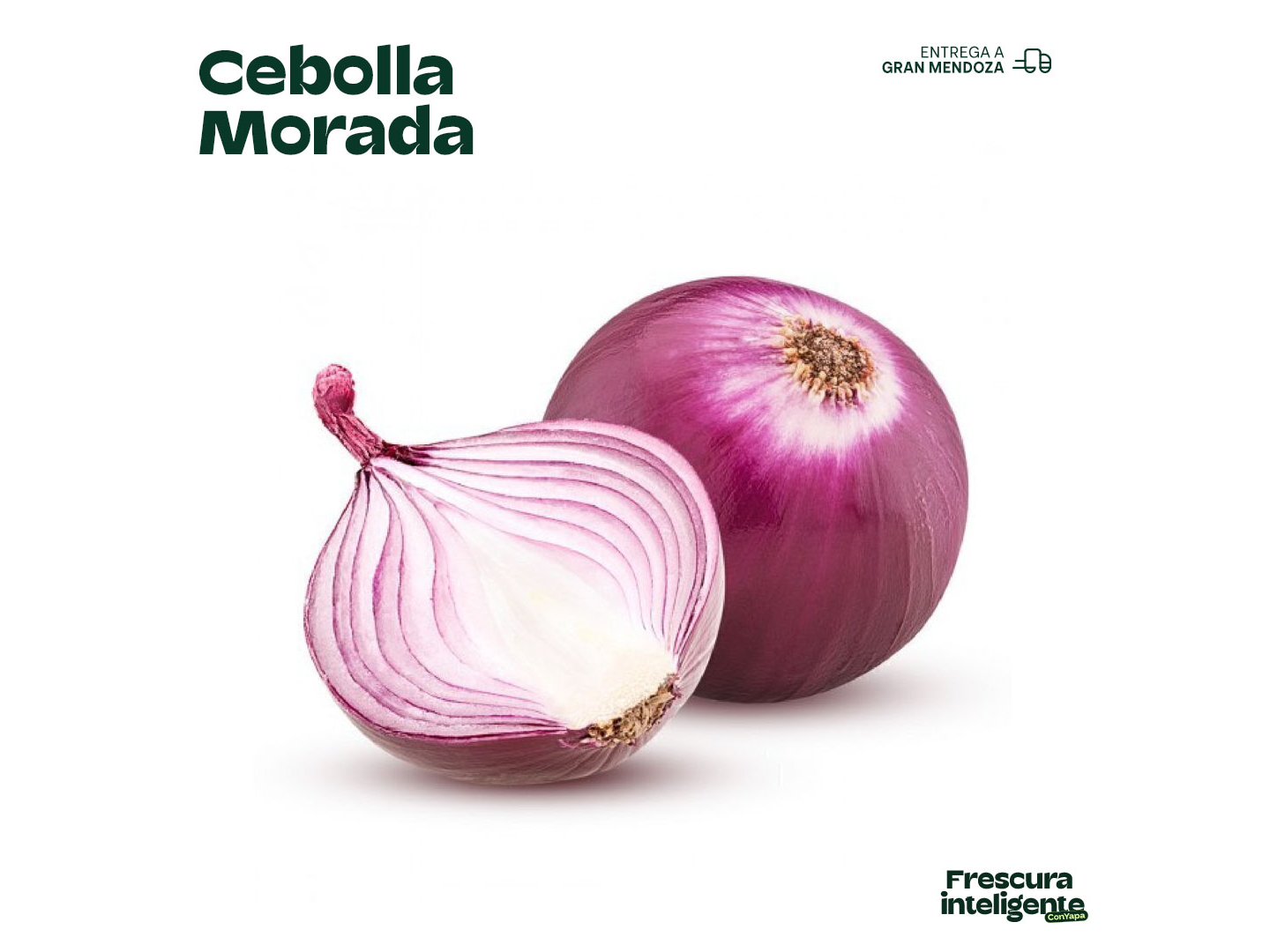 Cebolla morada