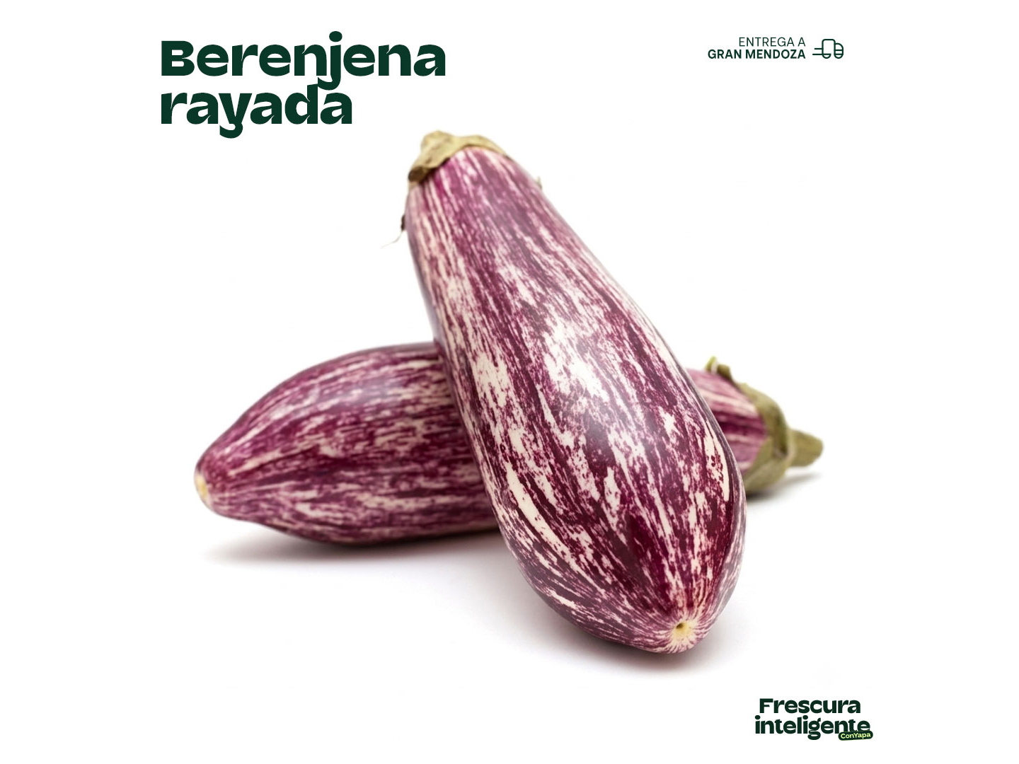 Berenjena ray.