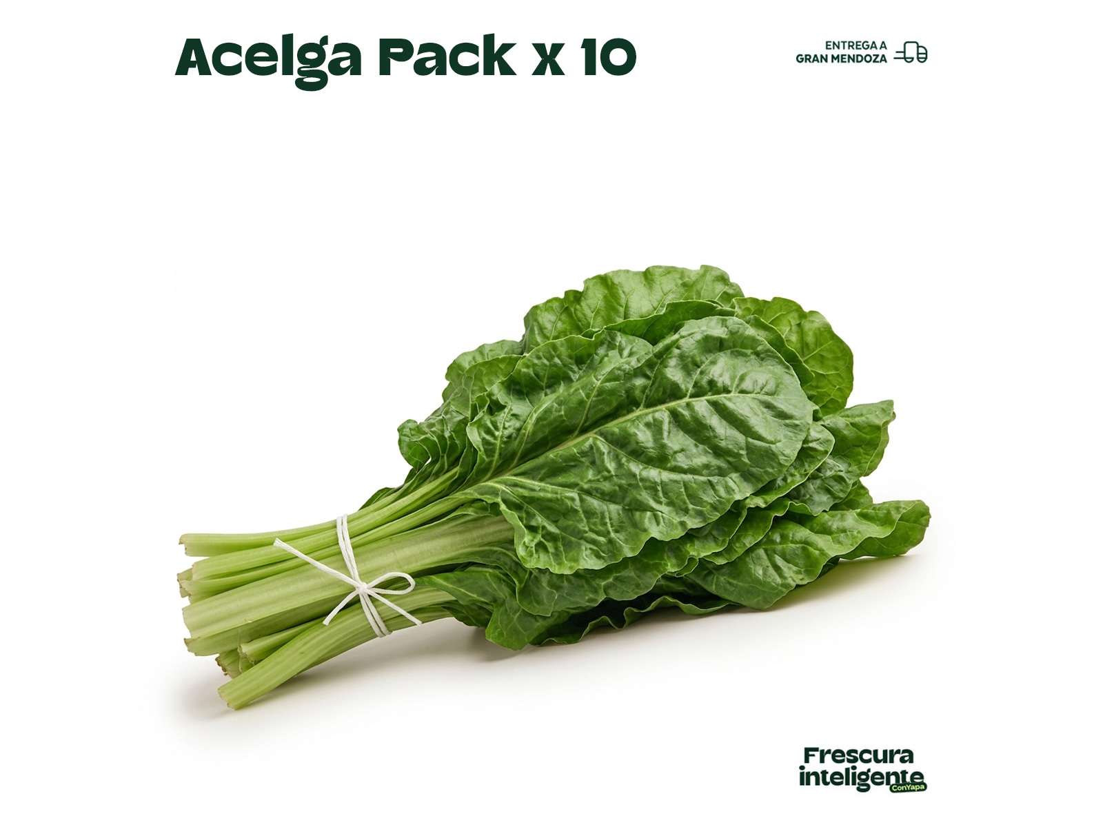 Acelga Pack x 10