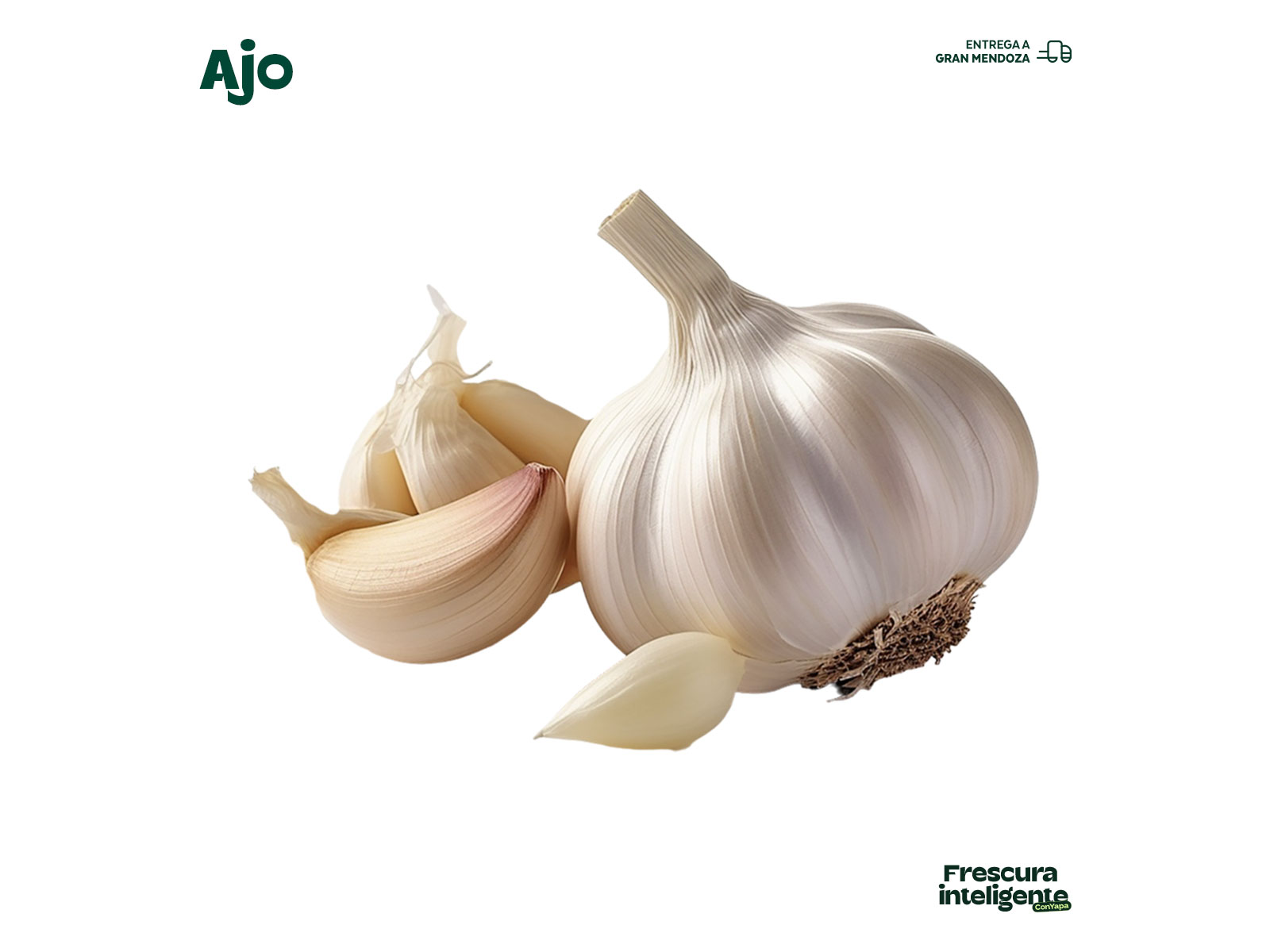 Ajo
