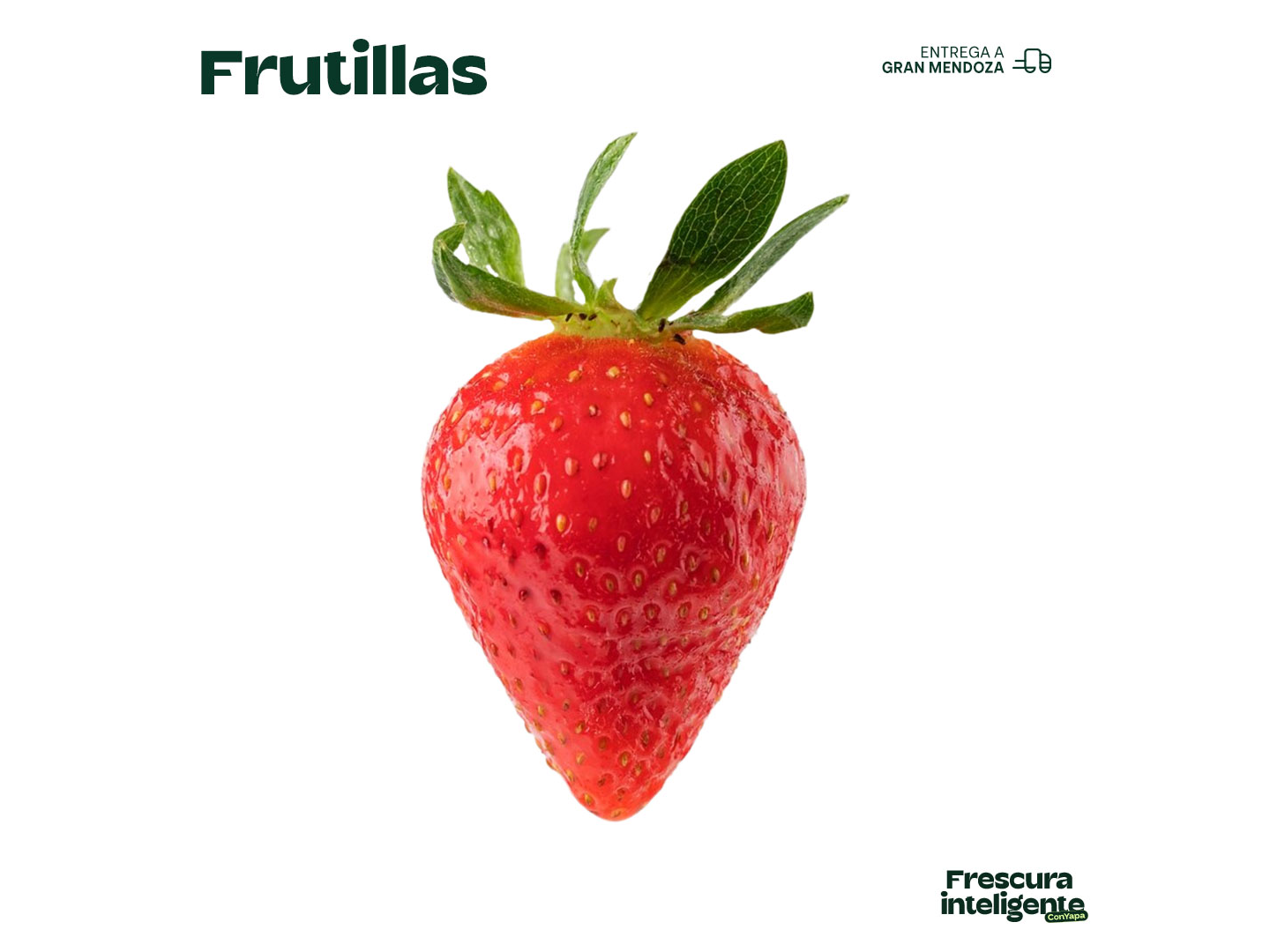 Frutilla