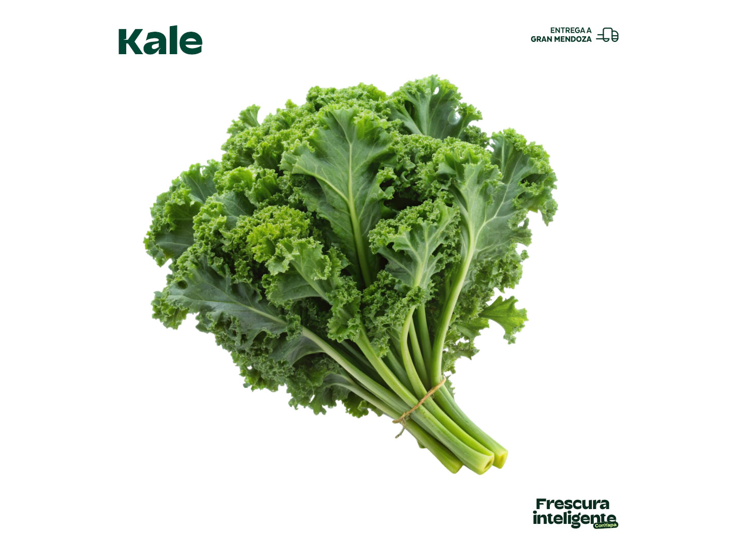 Kale