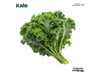 Kale