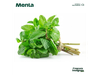 Menta
