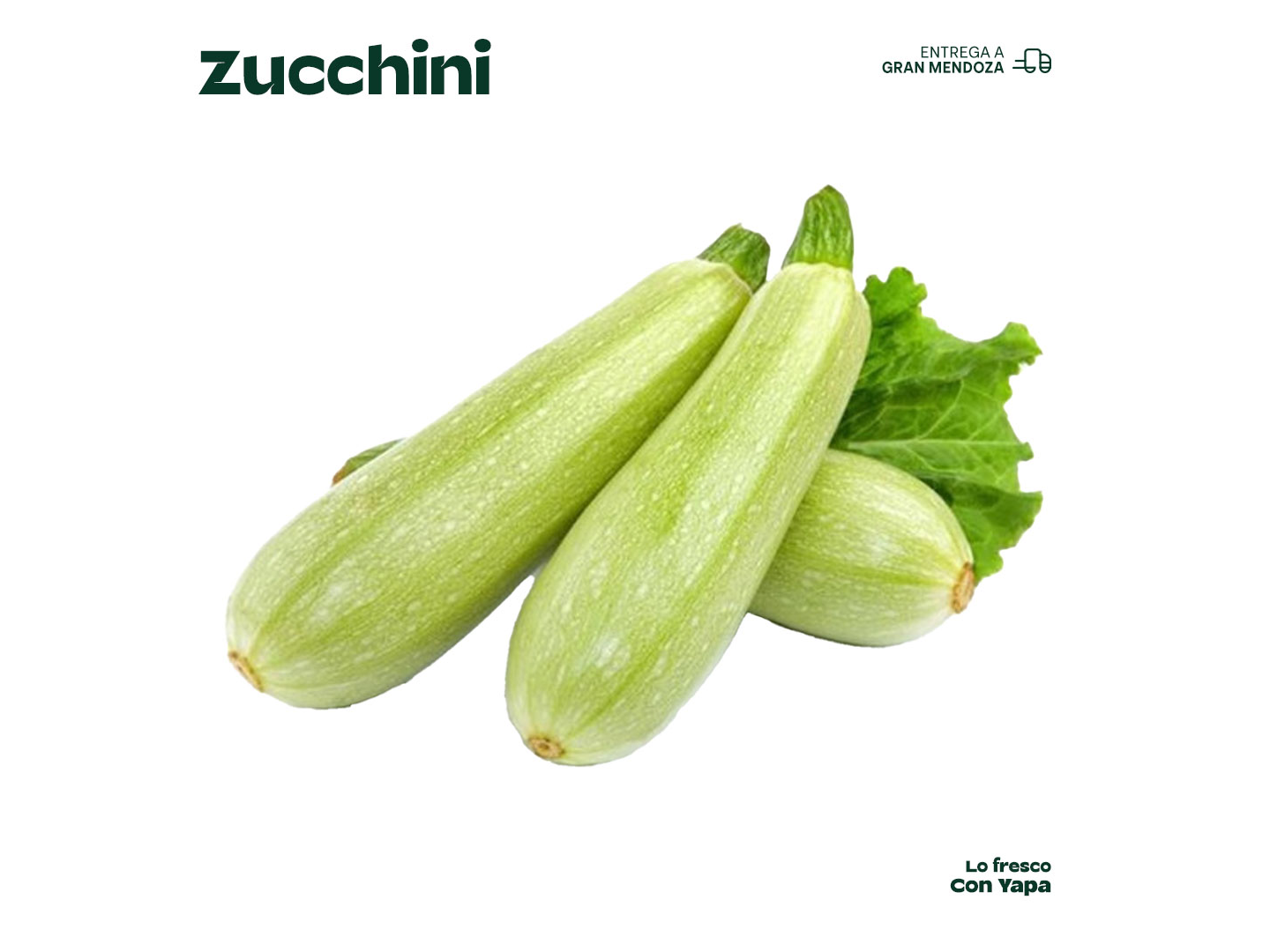 Zucchini