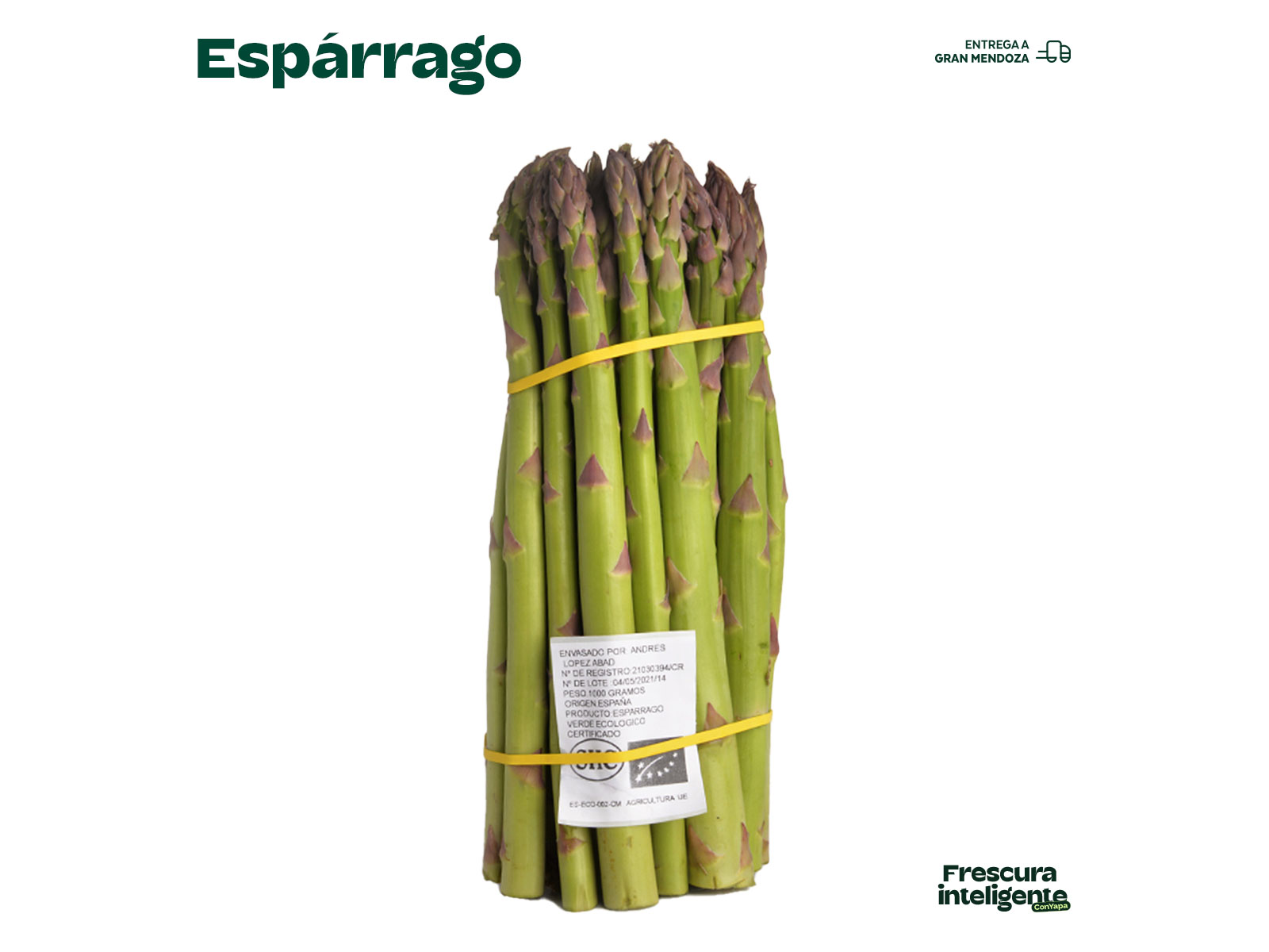 Espárrago