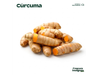 Cúrcuma (100 g)