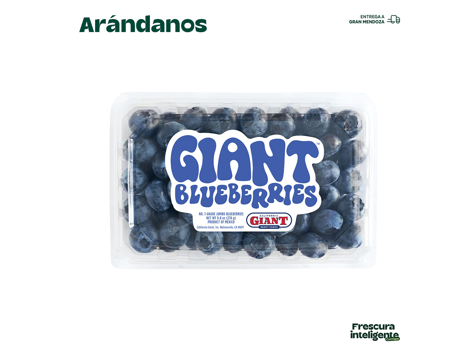 Arándanos 120 g