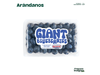 Arándanos 120 g